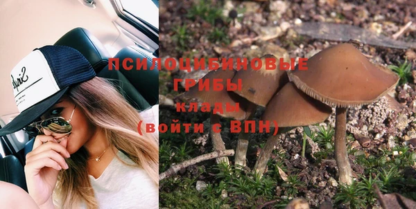 шишки Армянск