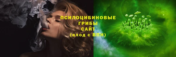 шишки Армянск