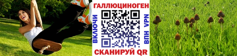 Галлюциногенные грибы мицелий  hydra онион  Баксан 